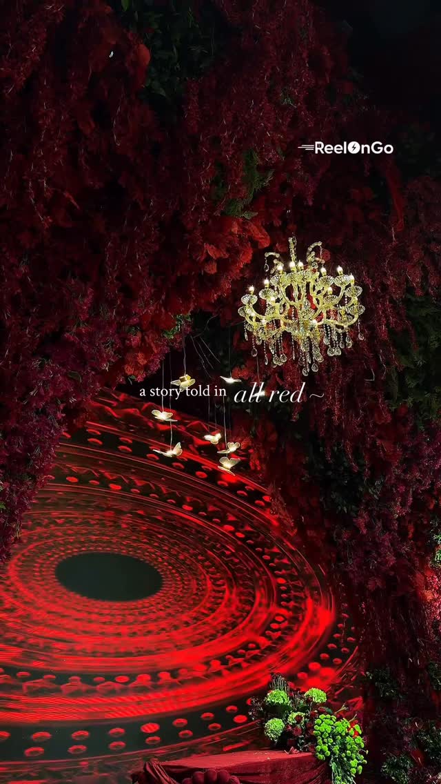 Reel 12